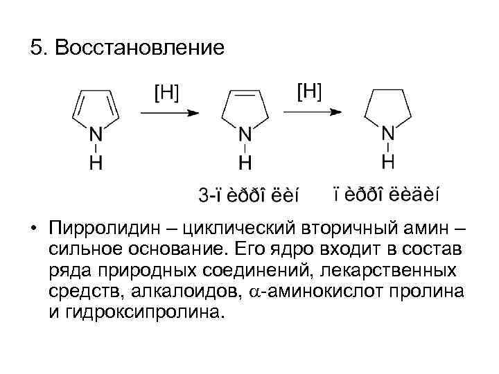 5. Восстановление • Пирролидин – циклический вторичный амин – сильное основание. Его ядро входит