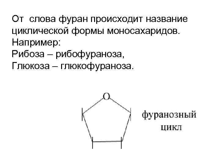 От слова фуран происходит название циклической формы моносахаридов. Например: Рибоза – рибофураноза, Глюкоза –