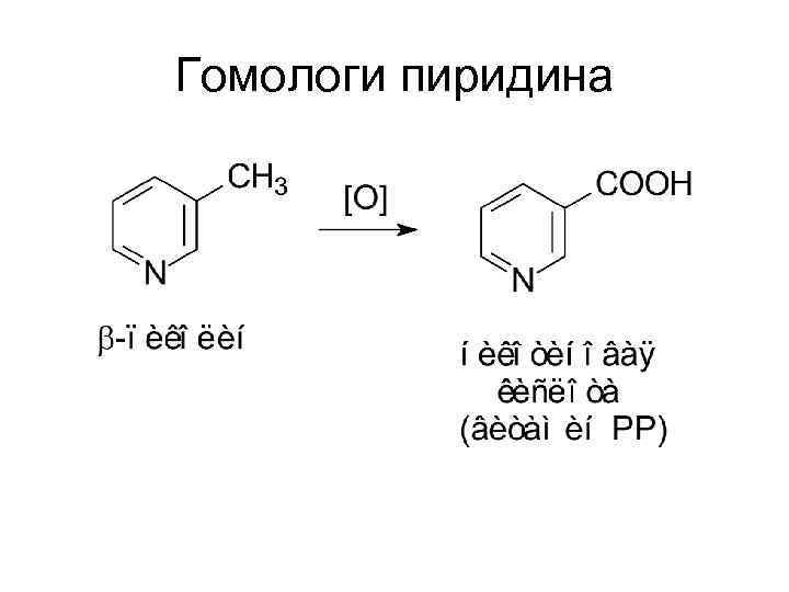 Гомологи пиридина 