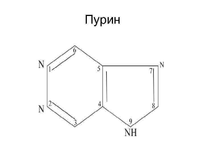 Пурин 