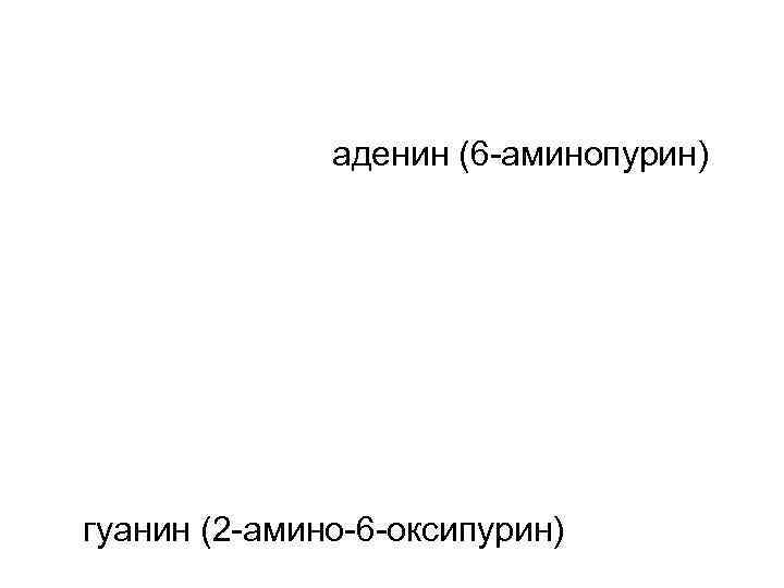 аденин (6 -аминопурин) гуанин (2 -амино-6 -оксипурин) 