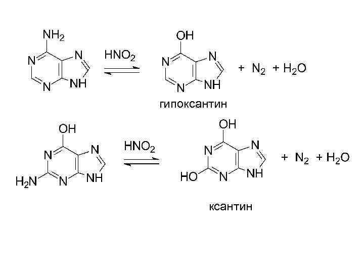 гипоксантин 