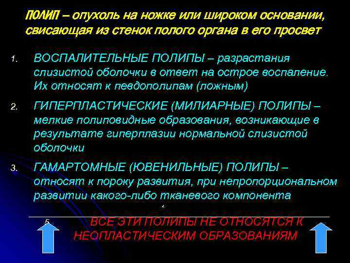 ПОЛИП – опухоль на ножке или широком основании, свисающая из стенок полого органа в