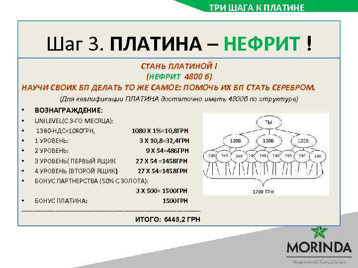 ТРИ ШАГА К ПЛАТИНЕ Шаг 3. ПЛАТИНА – НЕФРИТ ! СТАНЬ ПЛАТИНОЙ ! (НЕФРИТ