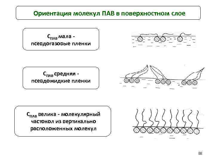 Ориентация молекул. Ориентация молекул пав в поверхностном слое. Ориентация молекул в поверхностном слое и структура биомембран. Ориентация молекул пав в насыщенном адсорбционном слое.