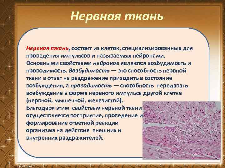 Нервная ткань, состоит из клеток, специализированных для проведения импульсов и называемых нейронами. Основными свойствами