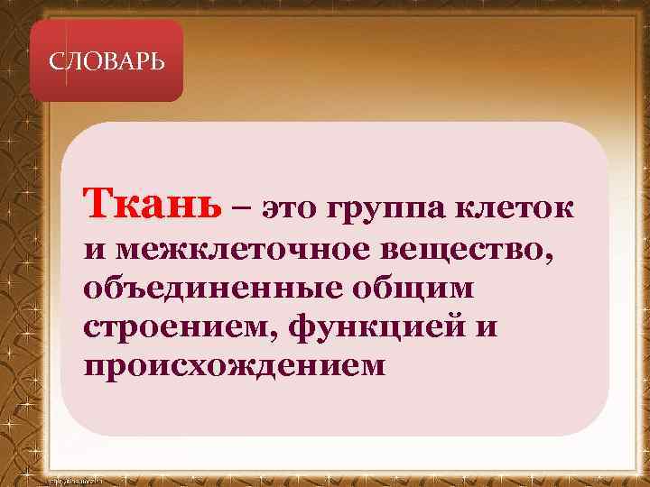 СЛОВАРЬ Ткань – это группа клеток и межклеточное вещество, объединенные общим строением, функцией и