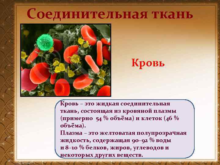 Соединительная ткань Кровь – это жидкая соединительная ткань, состоящая из кровяной плазмы (примерно 54