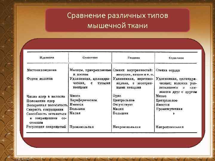 Сравнение различных типов мышечной ткани 