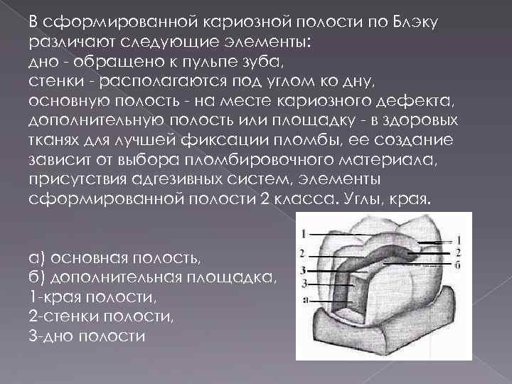 В сформированной кариозной полости по Блэку различают следующие элементы: дно - обращено к пульпе