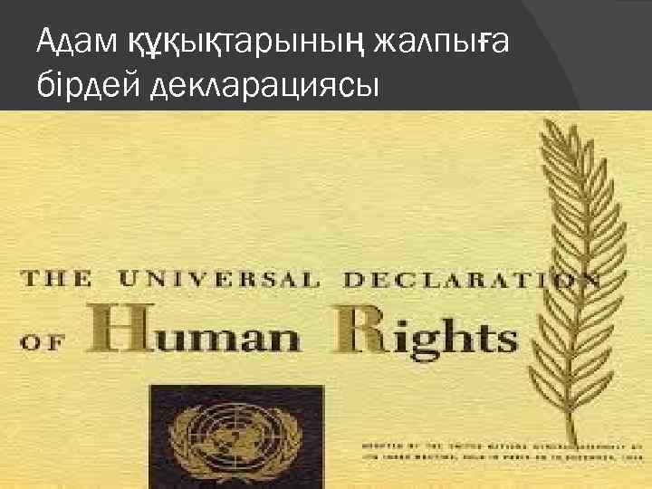 Адам құқықтарының жалпыға бірдей декларациясы 