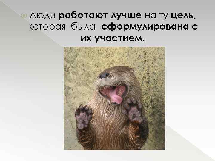 работают лучше на ту цель, которая была сформулирована с их участием. Люди 