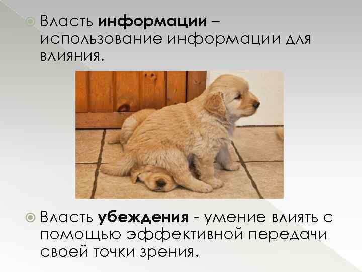 информации – использование информации для влияния. Власть убеждения - умение влиять с помощью эффективной