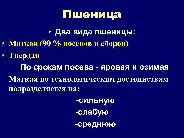 Пшеница • Два вида пшеницы: • Мягкая (90 % посевов и сборов) • Твёрдая
