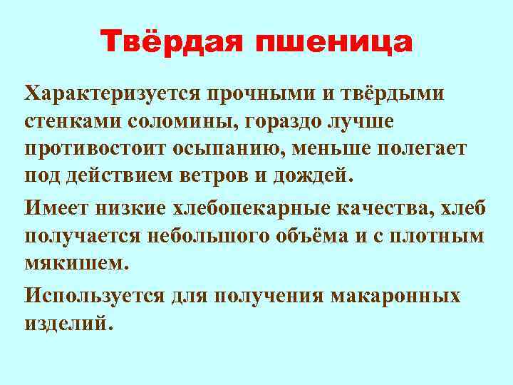 Твёрдая пшеница Характеризуется прочными и твёрдыми стенками соломины, гораздо лучше противостоит осыпанию, меньше полегает