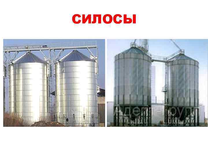 СИЛОСЫ 