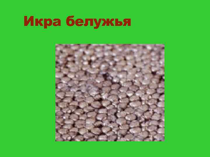 Икра белужья 