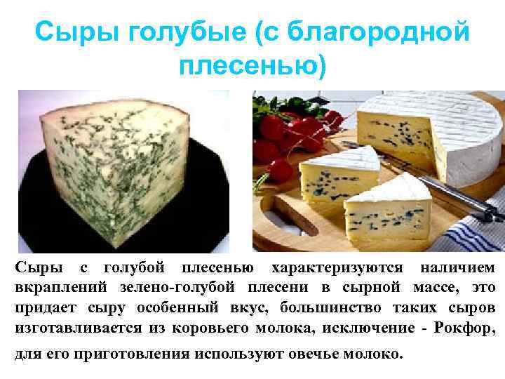 Сыры голубые (с благородной плесенью) Сыры с голубой плесенью характеризуются наличием вкраплений зелено-голубой плесени