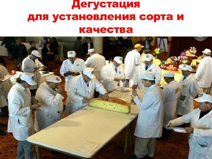 Дегустация для установления сорта и качества 