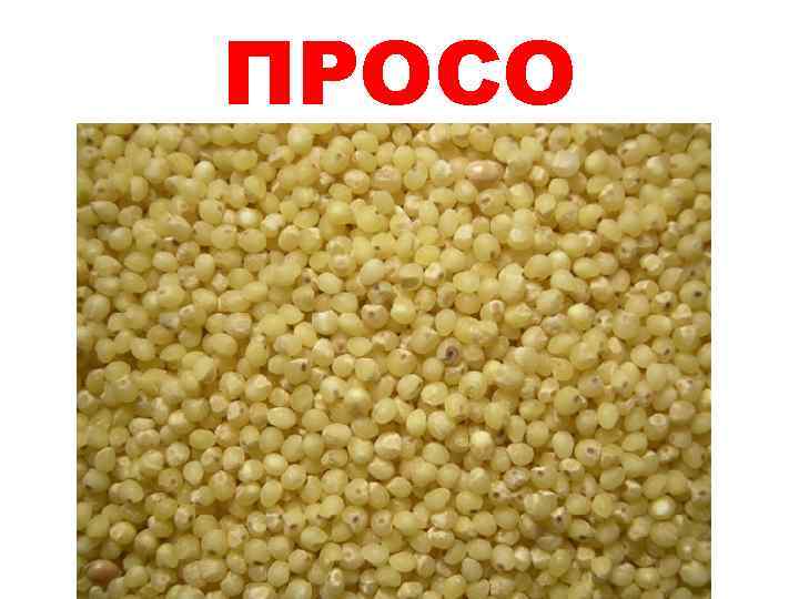 ПРОСО 