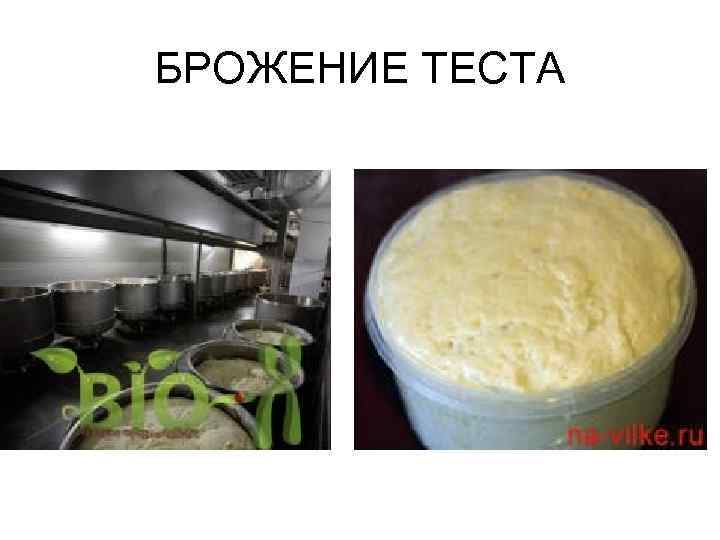 БРОЖЕНИЕ ТЕСТА 