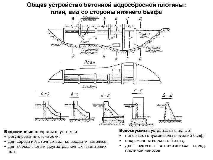 Общее устройство бетонной водосбросной плотины: план, вид со стороны нижнего бьефа Водосливные отверстия служат