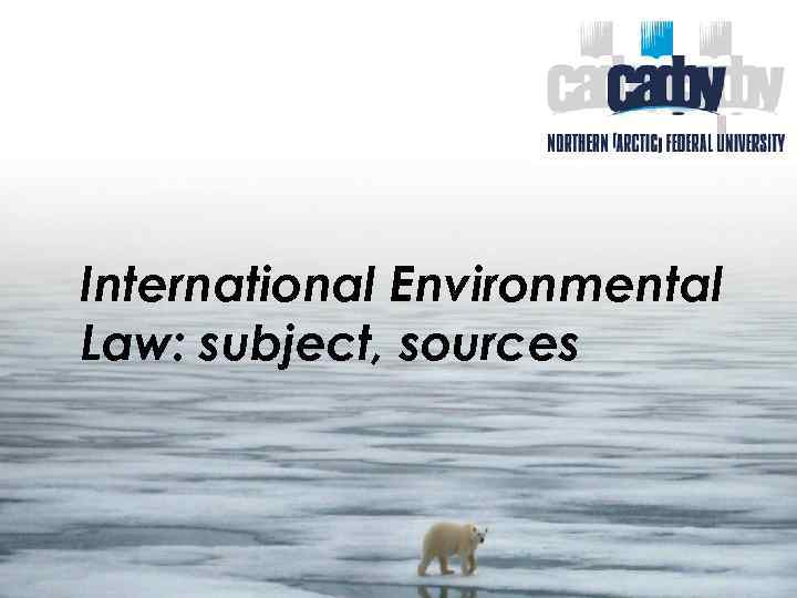 International Environmental Law: subject, sources 