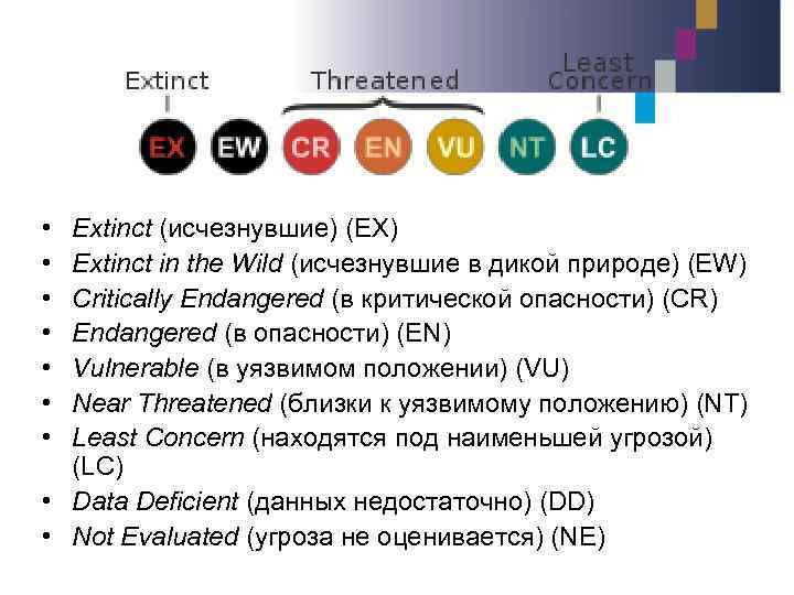  • • Extinct (исчезнувшие) (EX) Extinct in the Wild (исчезнувшие в дикой природе)