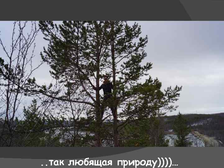 . . так любящая природу))))… 