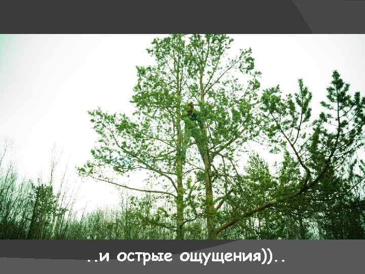 . . и острые ощущения)). . 