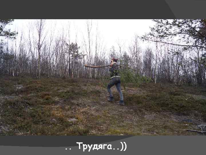 . . Трудяга. . )) 