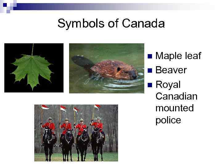 Symbols of Canada Maple leaf n Beaver n Royal Canadian mounted police n 