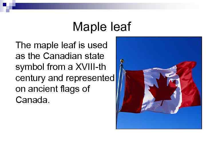 Maple leaf The maple leaf is used as the Canadian state symbol from a
