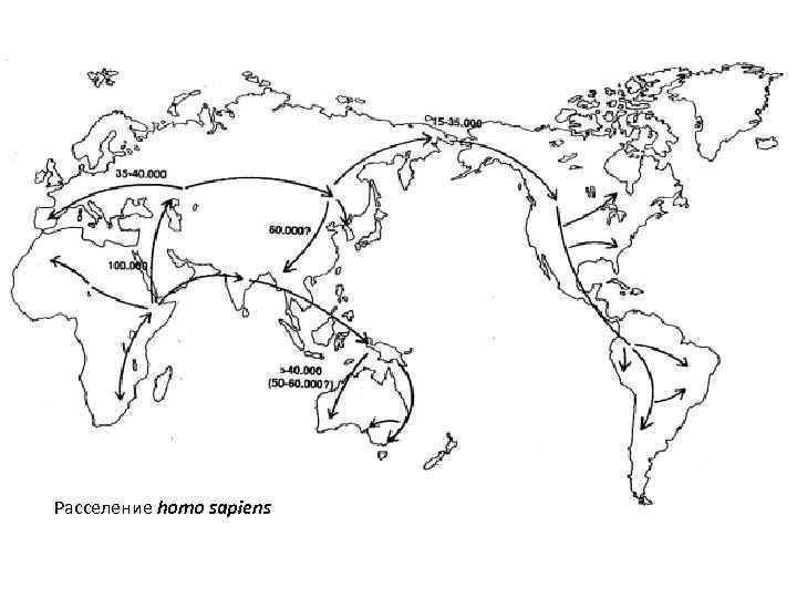 Расселение homo sapiens 