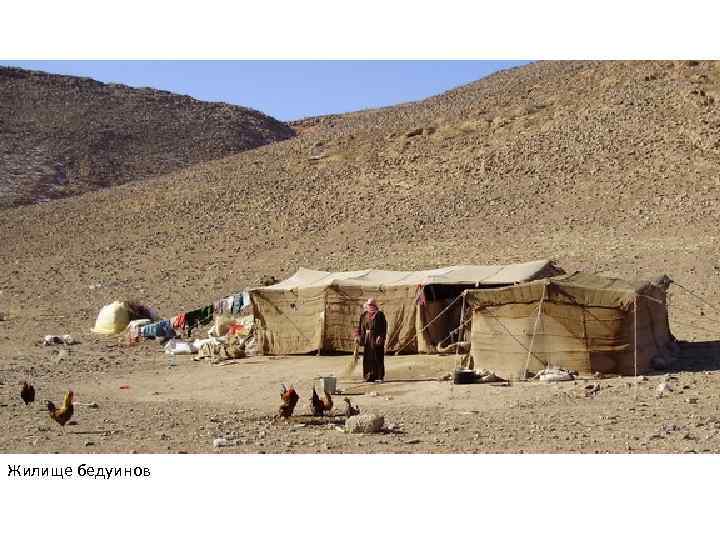 Жилище бедуинов 