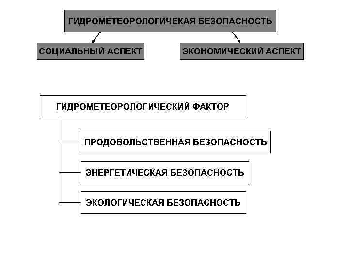 ГИДРОМЕТЕОРОЛОГИЧЕКАЯ БЕЗОПАСНОСТЬ СОЦИАЛЬНЫЙ АСПЕКТ ЭКОНОМИЧЕСКИЙ АСПЕКТ ГИДРОМЕТЕОРОЛОГИЧЕСКИЙ ФАКТОР ПРОДОВОЛЬСТВЕННАЯ БЕЗОПАСНОСТЬ ЭНЕРГЕТИЧЕСКАЯ БЕЗОПАСНОСТЬ ЭКОЛОГИЧЕСКАЯ БЕЗОПАСНОСТЬ