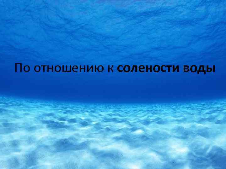 По отношению к солености воды 