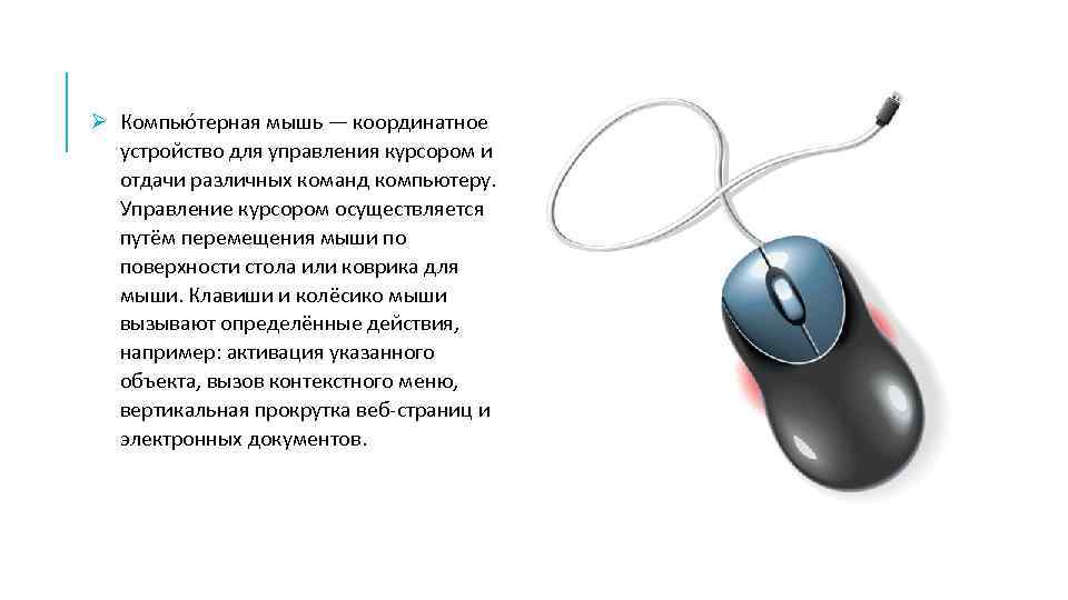 Ø Компью терная мышь — координатное устройство для управления курсором и отдачи различных команд