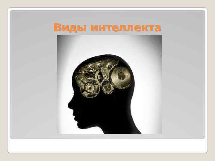 Виды интеллекта 