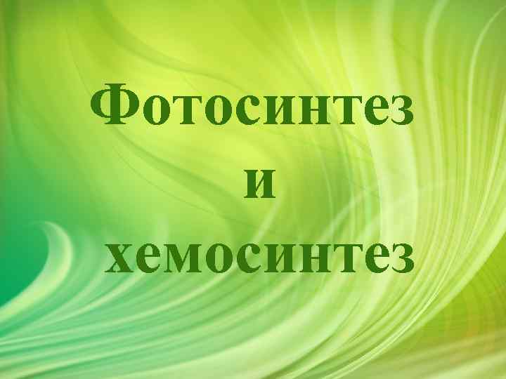 Фотосинтез и хемосинтез 