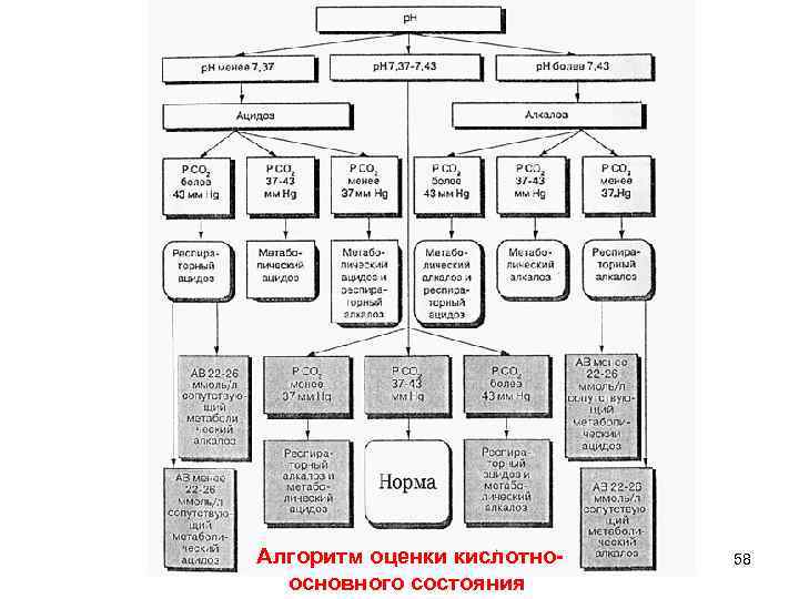 Алгоритм оценки кислотноосновного состояния 58 