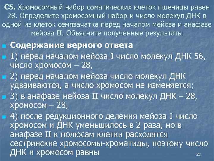 Хромосомный набор клеток пшеницы равен