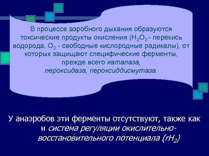 В процессе аэробного дыхания образуются токсические продукты окисления (H 2 O 2 - перекись