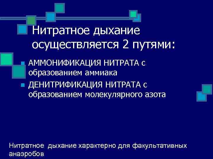 Нитратное дыхание осуществляется 2 путями: n n АММОНИФИКАЦИЯ НИТРАТА с образованием аммиака ДЕНИТРИФИКАЦИЯ НИТРАТА