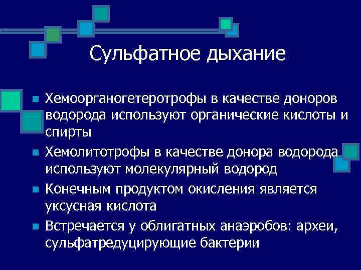 Сульфатное дыхание n n Хемоорганогетеротрофы в качестве доноров водорода используют органические кислоты и спирты