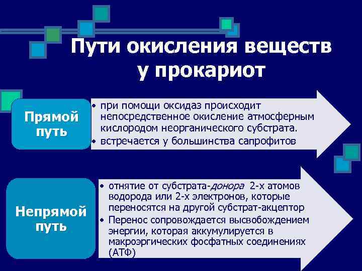 Пути окисления веществ у прокариот Прямой путь • при помощи оксидаз происходит непосредственное окисление