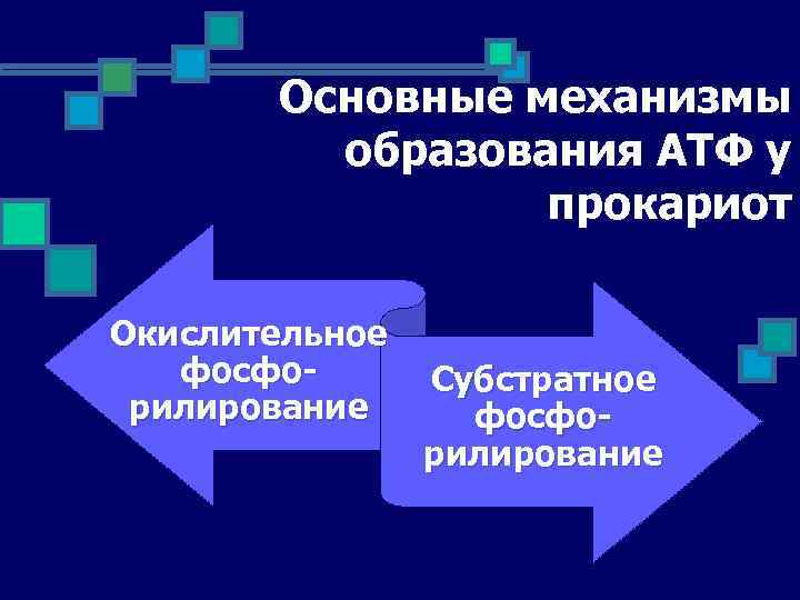 Основные механизмы образования АТФ у прокариот Окислительное фосфо. Субстратное рилирование фосфорилирование 