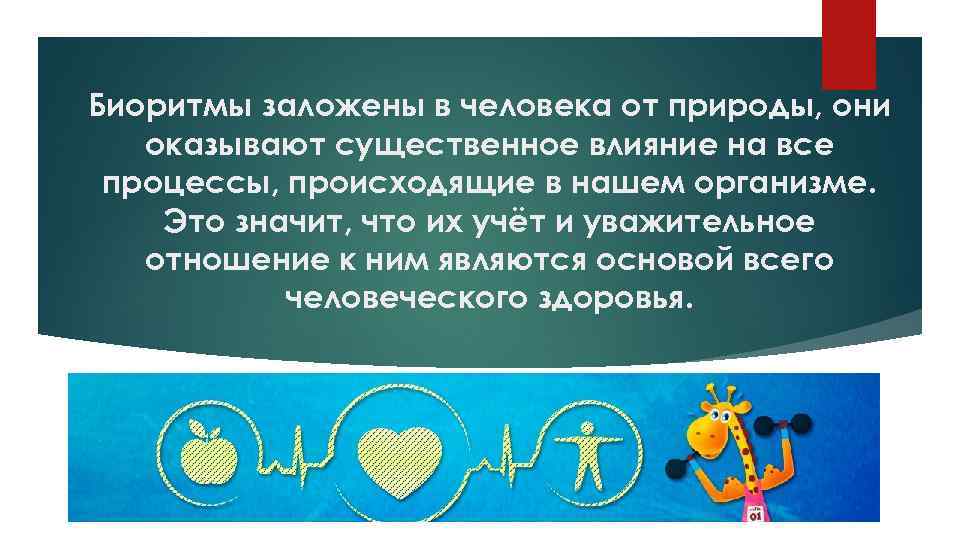 Биоритмы заложены в человека от природы, они оказывают существенное влияние на все процессы, происходящие