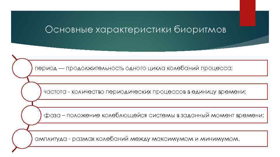 Основные характеристики биоритмов период — продолжительность одного цикла колебаний процесса; частота - количество периодических