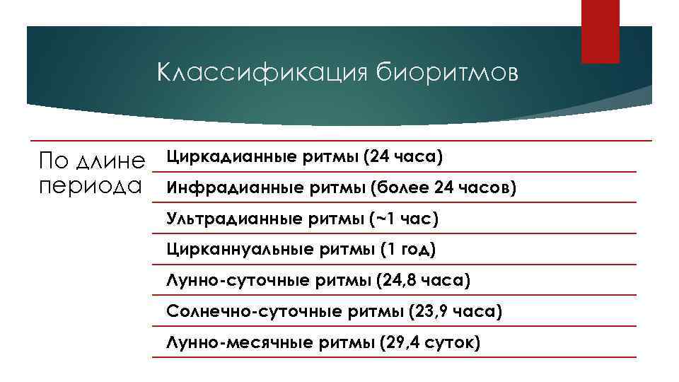 Классификация биоритмов По длине периода Циркадианные ритмы (24 часа) Инфрадианные ритмы (более 24 часов)